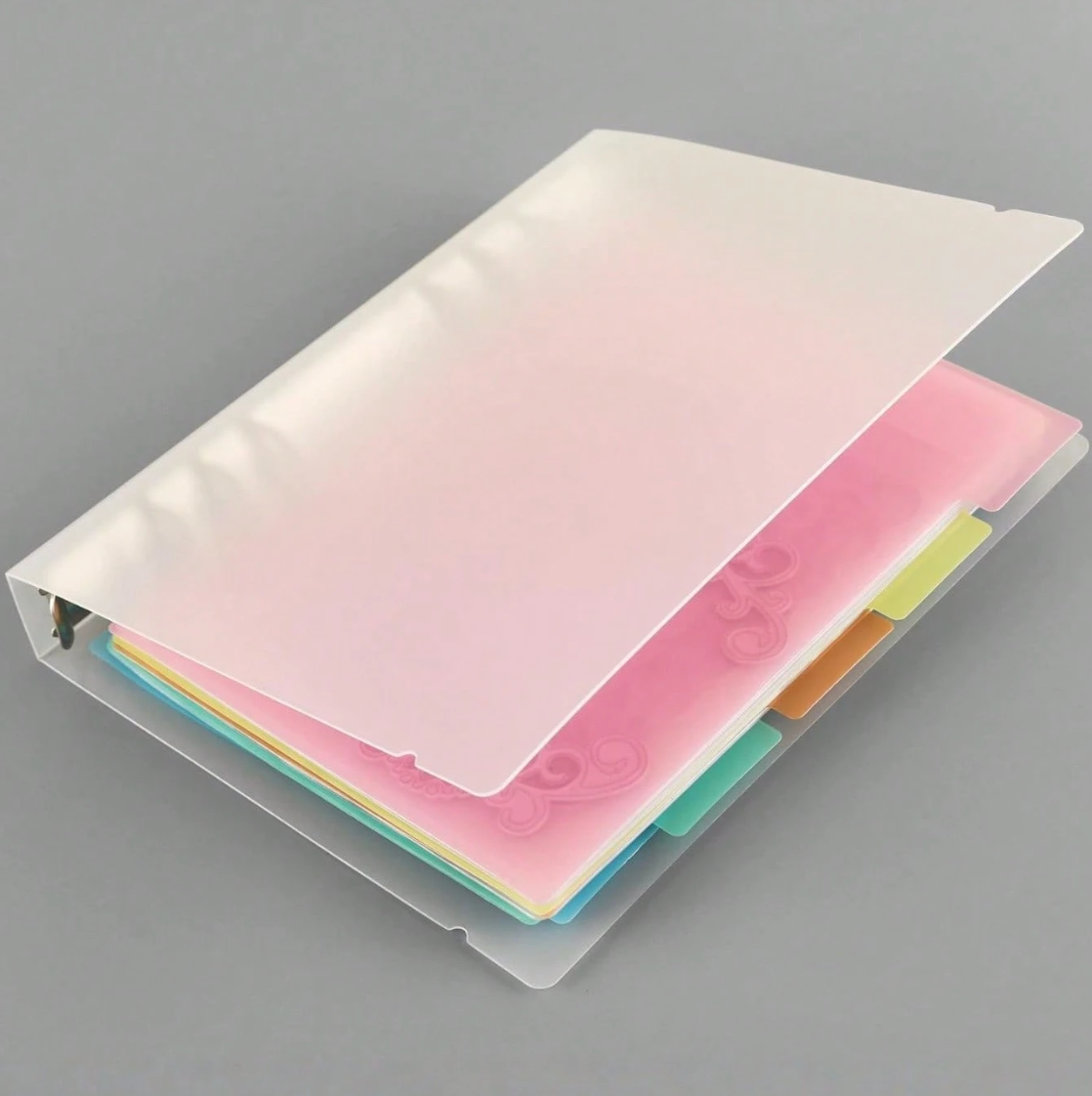 Minimalist Plastic Binder